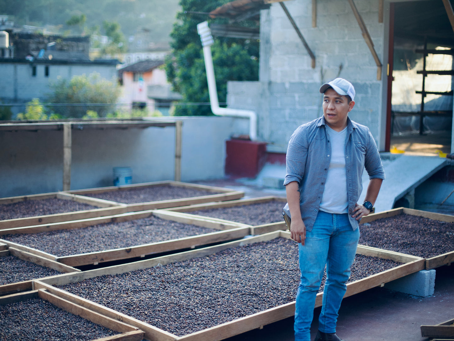 Sit, Good Boy - Proceso Natural - Zapotitlan de Mendez, Puebla - Finca Cagstin
